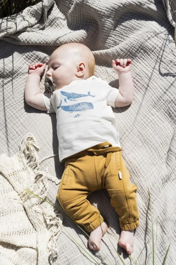 Noppies Hosen-Hose Mathis -