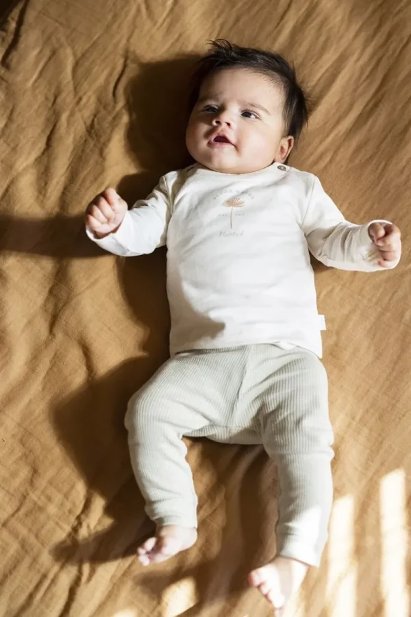 Noppies Shirts-Langarmshirt Madison -