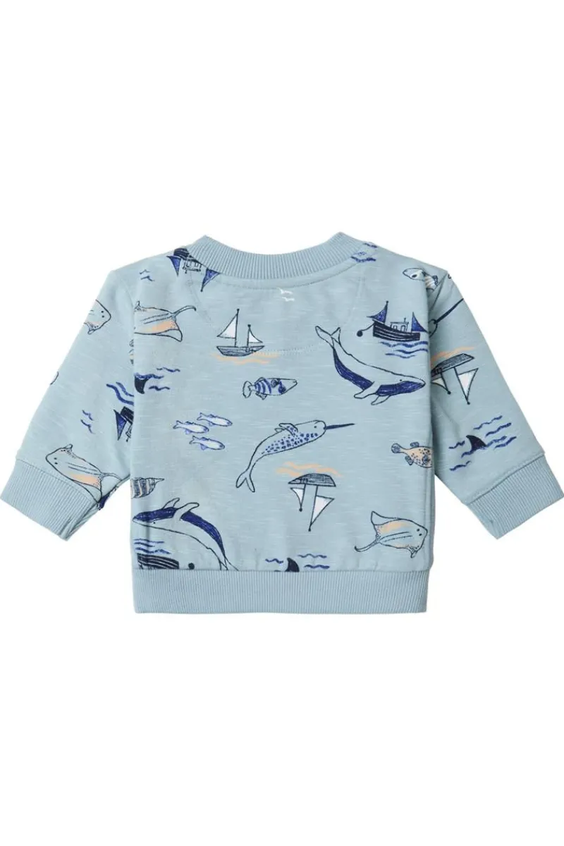 pullover_bergen__arona_6.webp Noppies Pullover-Pullover Bergen -
