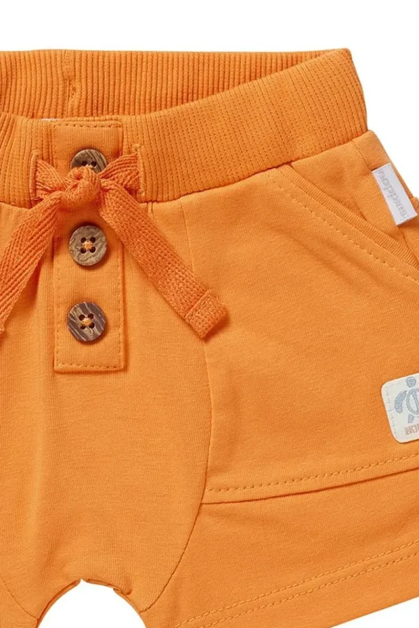 Noppies Shorts-Shorts Branch -