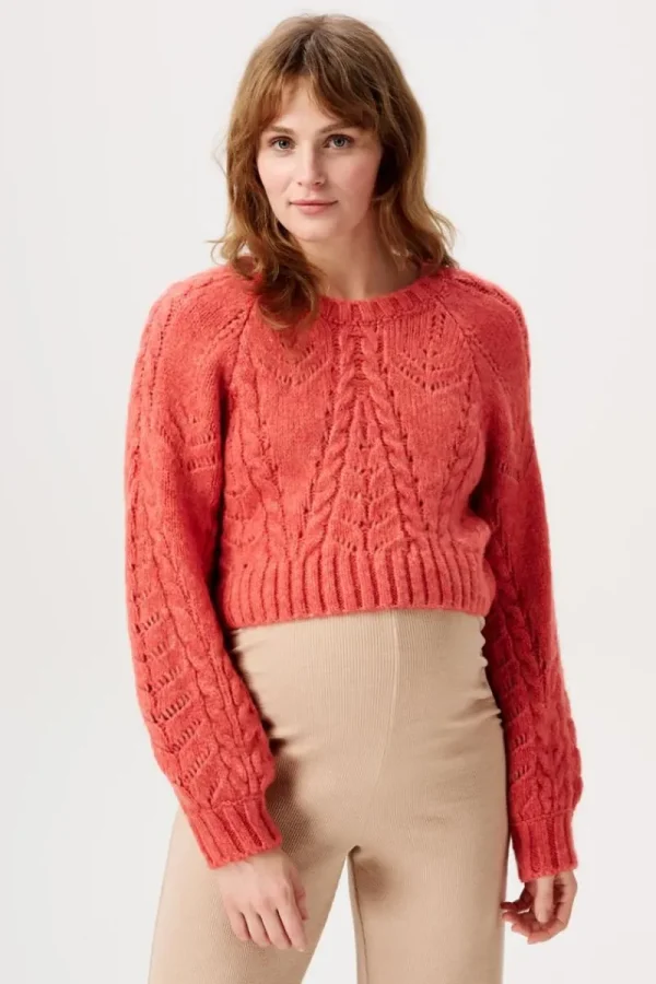 Noppies Pullover | Pullover-Still-Pullover Esbjerg -