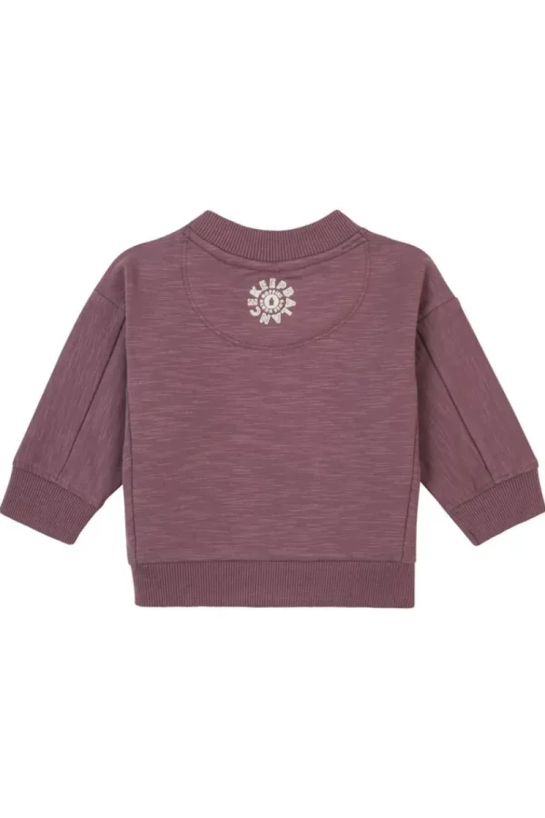 Noppies Pullover-Sweater Garlin -