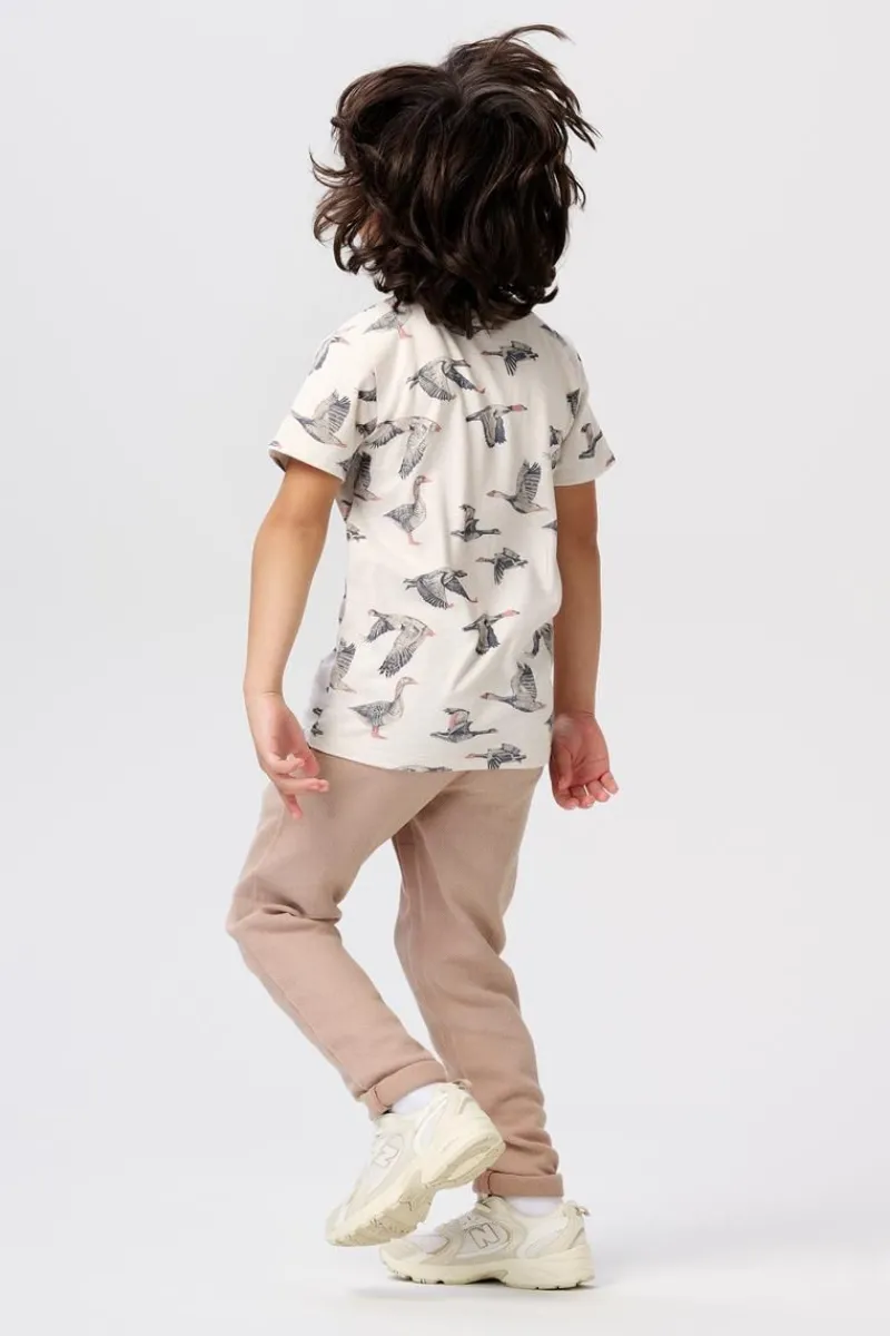 tshirt_dierks__oatmeal_5.webp Kinder Noppies Shirts-T-shirt Dierks -