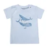Noppies T-Shirts-T-shirt Montevallo -